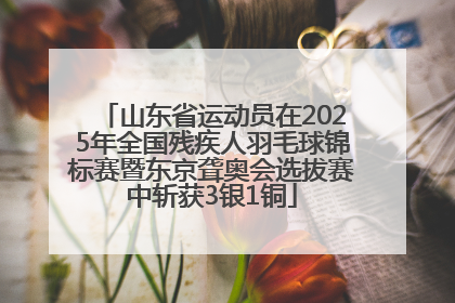 山东省运动员在2025年全国残疾人羽毛球锦标赛暨东京聋奥会选拔赛中斩获3银1铜