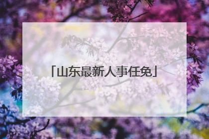 山东最新人事任免