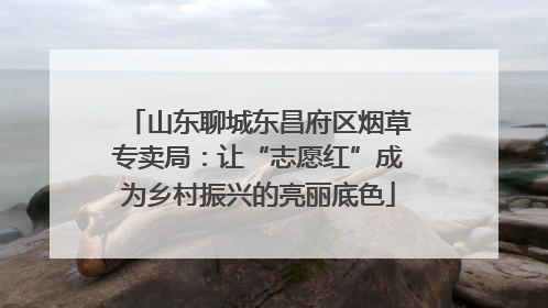 山东聊城东昌府区烟草专卖局：让“志愿红”成为乡村振兴的亮丽底色