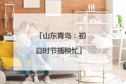 山东青岛：初夏时节插秧忙