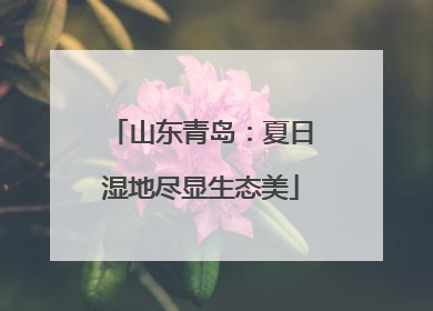 山东青岛：夏日湿地尽显生态美