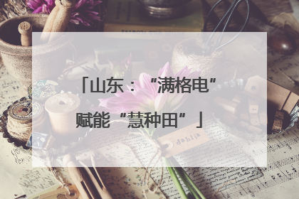山东：“满格电”赋能“慧种田”