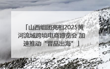 山西组团亮相2025黄河流域跨境电商博览会 加速推动“晋品出海”