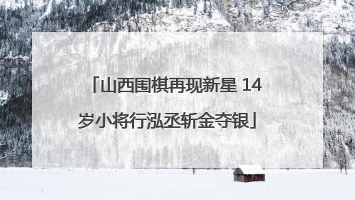 山西围棋再现新星 14岁小将行泓丞斩金夺银
