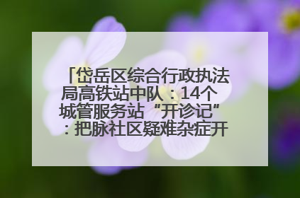 岱岳区综合行政执法局高铁站中队：14个城管服务站“开诊记”：把脉社区疑难杂症开出治理良方