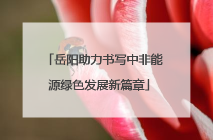 岳阳助力书写中非能源绿色发展新篇章