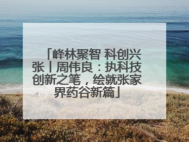 峰林聚智 科创兴张丨周伟良：执科技创新之笔，绘就张家界药谷新篇