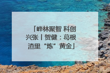 峰林聚智 科创兴张丨贺健：葛根渣里“炼”黄金