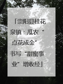 崇阳县桂花泉镇：瓜农“点花成金” 书写“甜蜜事业”增收经