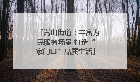 嵩山街道：丰富为民服务场景 打造“家门口”品质生活