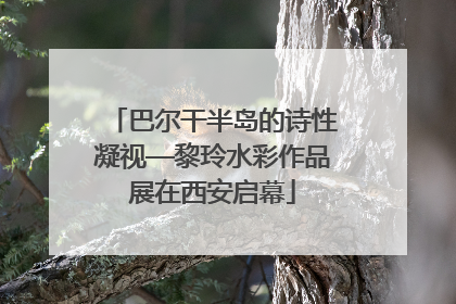 巴尔干半岛的诗性凝视—黎玲水彩作品展在西安启幕