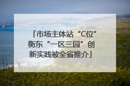 市场主体站“C位” 衡东“一区三园”创新实践被全省推介