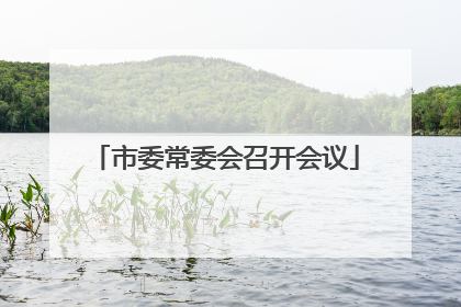 市委常委会召开会议