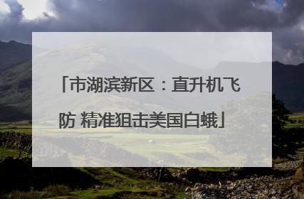 市湖滨新区：直升机飞防 精准狙击美国白蛾