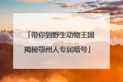 带你到野生动物王国揭秘鄂州人专属暗号