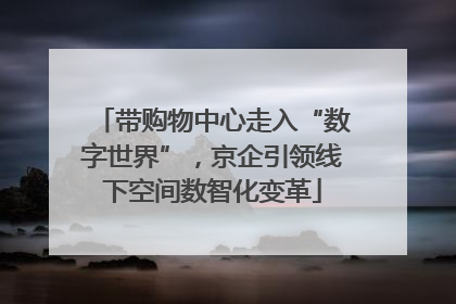 带购物中心走入“数字世界”，京企引领线下空间数智化变革