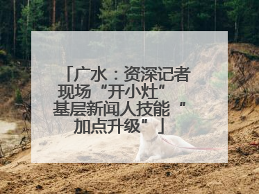 广水：资深记者现场“开小灶” 基层新闻人技能“加点升级”