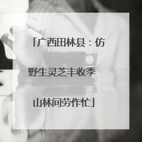 广西田林县：仿野生灵芝丰收季 山林间劳作忙