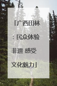 广西田林：民众体验非遗 感受文化魅力