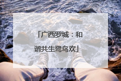 广西罗城：和谐共生鹭鸟欢