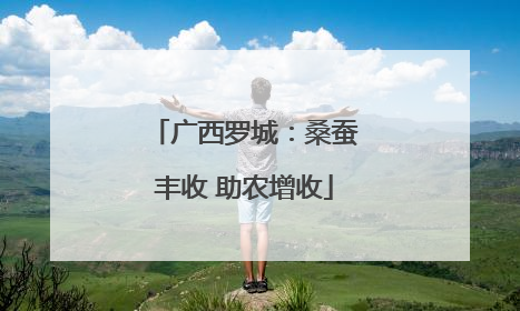 广西罗城：桑蚕丰收 助农增收