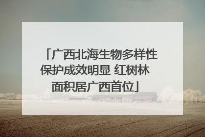 广西北海生物多样性保护成效明显 红树林面积居广西首位