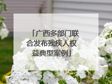 广西多部门联合发布残疾人权益典型案例