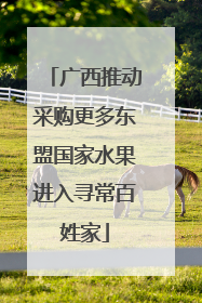 广西推动采购更多东盟国家水果进入寻常百姓家