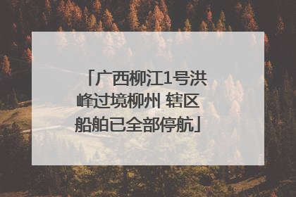 广西柳江1号洪峰过境柳州 辖区船舶已全部停航