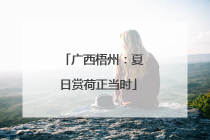 广西梧州：夏日赏荷正当时