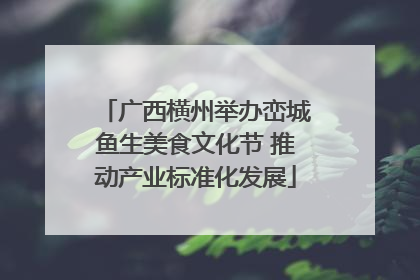广西横州举办峦城鱼生美食文化节 推动产业标准化发展