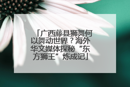广西藤县狮舞何以舞动世界？海外华文媒体探秘“东方狮王”炼成记