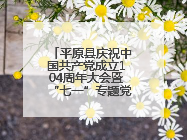 平原县庆祝中国共产党成立104周年大会暨“七一”专题党课报告会召开