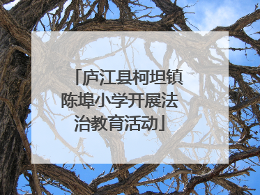 庐江县柯坦镇陈埠小学开展法治教育活动