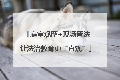 庭审观摩+现场普法 让法治教育更“直观”