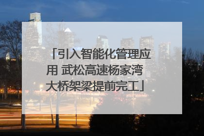 引入智能化管理应用 武松高速杨家湾大桥架梁提前完工