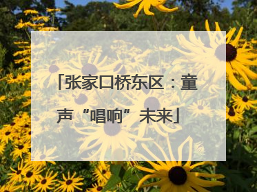 张家口桥东区：童声“唱响”未来