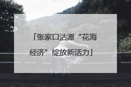 张家口沽源“花海经济”绽放新活力
