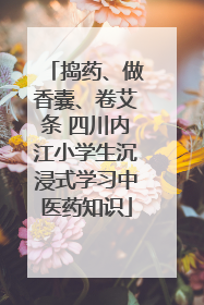 捣药、做香囊、卷艾条 四川内江小学生沉浸式学习中医药知识