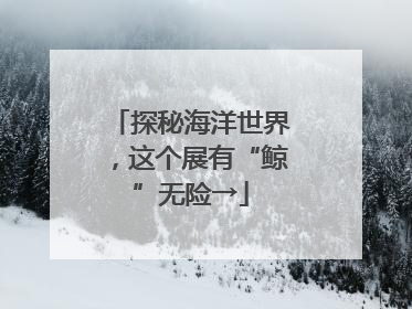 探秘海洋世界，这个展有“鲸”无险→