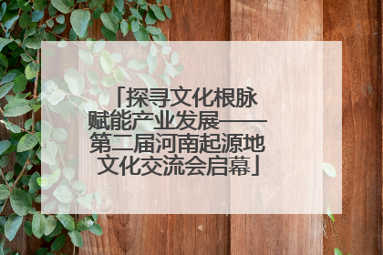 探寻文化根脉 赋能产业发展——第二届河南起源地文化交流会启幕