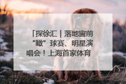 探徐汇｜落地窗前“瞰”球赛、明星演唱会！上海首家体育特色高端酒店亮相