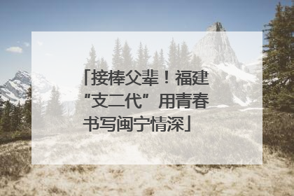 接棒父辈！福建“支二代”用青春书写闽宁情深