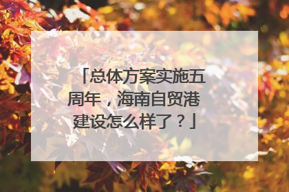 总体方案实施五周年，海南自贸港建设怎么样了？