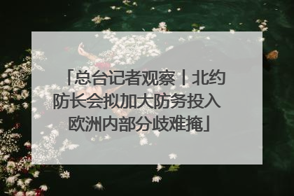 总台记者观察丨北约防长会拟加大防务投入 欧洲内部分歧难掩