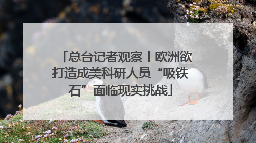 总台记者观察丨欧洲欲打造成美科研人员“吸铁石”面临现实挑战