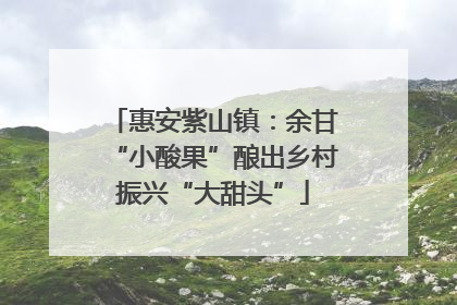 惠安紫山镇：余甘“小酸果”酿出乡村振兴“大甜头”