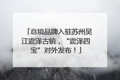 意境品牌入驻苏州吴江震泽古镇，“震泽四宝”对外发布！
