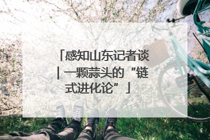 感知山东记者谈｜一颗蒜头的“链式进化论”