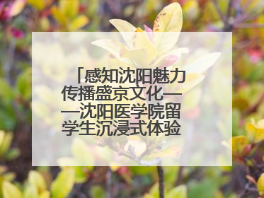 感知沈阳魅力传播盛京文化——沈阳医学院留学生沉浸式体验沈阳文旅特色